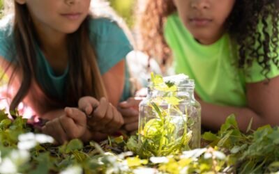 Educação de qualidade é base para um Brasil sustentável
