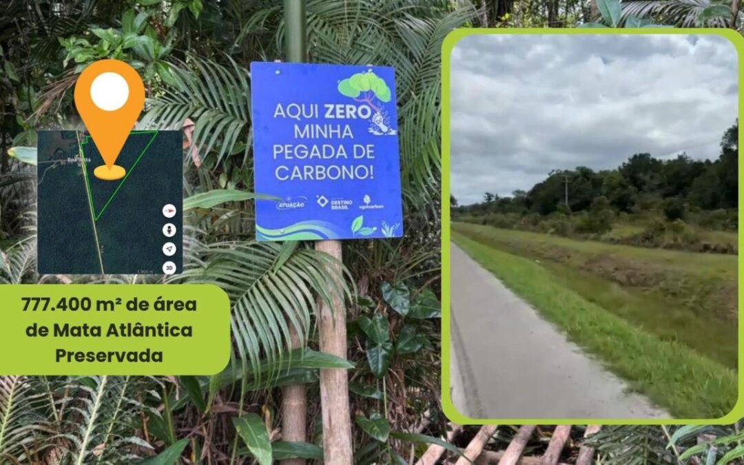 Projeto zera 7 mil toneladas de Co² emitidos por comunidade escolar em Curitiba